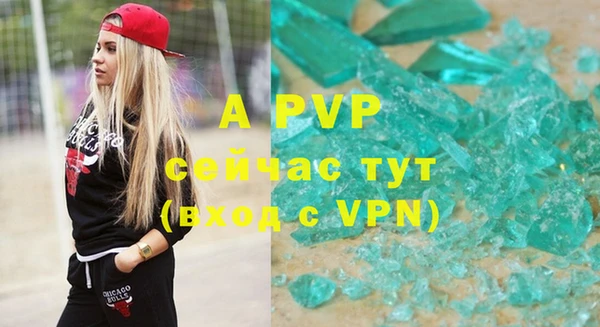 дживик Сосновый Бор