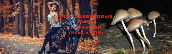 экстази Белокуриха